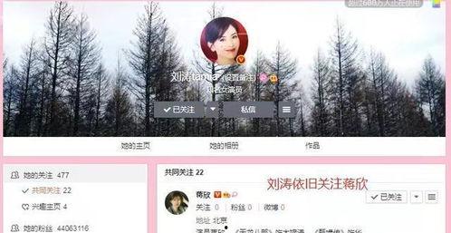 卓伟最新爆料一哥一姐,揭秘娱乐圈一哥一姐背后的惊人真相  第3张