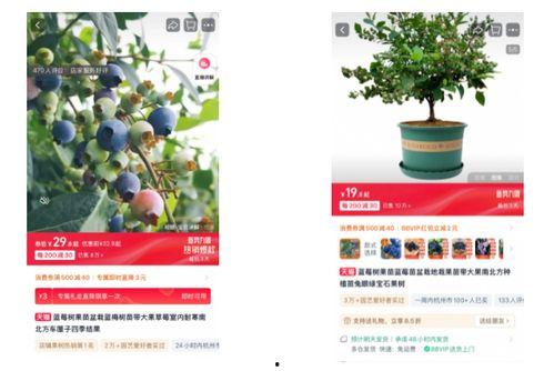 杭州春天爆料视频,短视频带你领略花海春意盎然 第1张 杭州春天爆料视频,短视频带你领略花海春意盎然 第1张